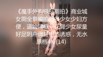 《魔手外购极品厕拍》商业城女厕全景偸拍超多少女少妇方便，逼脸同框，花臂少女尿量好足阴户微开相当诱惑，无水原档4K (14)