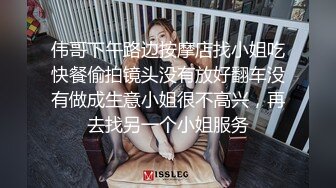 专约极品大神『MRSKL』最新流出你眼中的女神在金主面前又多下贱 超多女神骚婊 羡慕大神的钞能力 夜夜做新郎 (2)