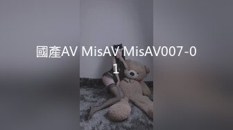 國產AV MisAV MisAV007-01