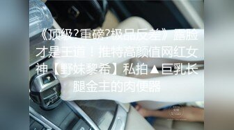 麻豆传媒 mtvq-1 突袭女优家 ep14 节目篇-苏清歌