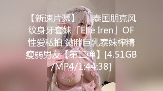 【新速片遞】   ✨泰国朋克风纹身牙套妹「Elle Iren」OF性爱私拍 微胖巨乳泰妹榨精瘦弱男友【第二弹】[4.51GB/MP4/1:44:38]