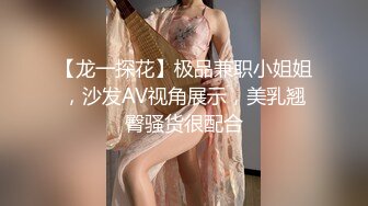 【龙一探花】极品兼职小姐姐，沙发AV视角展示，美乳翘臀骚货很配合