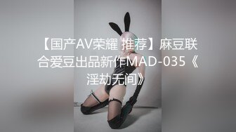 镜子前狂操肉便器女友