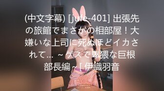 396BIG-029 はとり