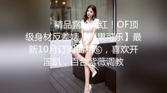 后入清纯女大学生，石家庄滴滴