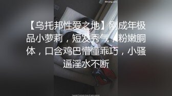 可以随时做爱的我的专用女仆