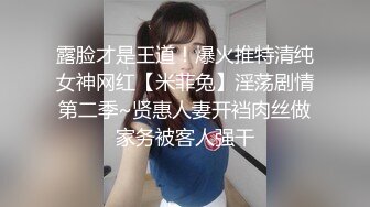 太完美了 满足幻想 AI绘画 正经的女教师们 图集