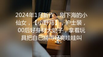 国产CD系列伪娘小舞之Cos巨乳公主 坐骑假屌飞机杯自慰射不少