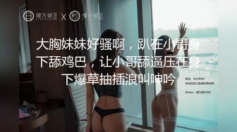 大好きな姉の突然の结婚…怒りと嫉妬に狂ってクズ化した仆は结婚式までの数日间、姉を仆専用の性処理ペットにしてやった！ 希岛あいり