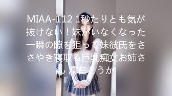 HEYZO 2830 欲求不満なヤリたがりセフレをハメ倒してヤッたVol.2 &#8211; 美澤のえる