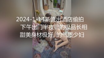 我的女神用蛮力坐我