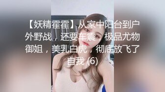 【妖精霍霍】从家中阳台到户外野战，还要车震，极品尤物御姐，美乳白虎，彻底放飞了自我 (6)