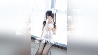 韵味十足！高颜值TS 小柔 付费长视频，秘书情趣女仆黑丝 (3)