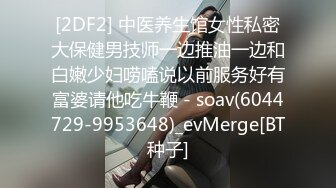 【自整理】国产女优李蓉蓉合集【95V】 (19)