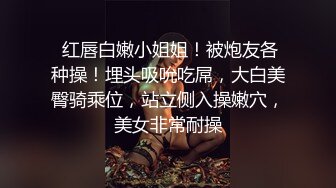 麻豆传媒 BLX0047 心口不一的相亲对象 李蓉蓉