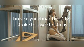 brookelynnebriar.16.12.12.stroke.to.save.christmas