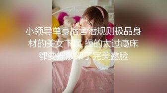 【新片速遞 】  《稀缺精品❤️极致反差》光鲜亮丽的女神 一边挨操一边被羞辱 纯欲的外表与放荡的淫叫 形成剧烈反差[1.31G/MP4/37:01]