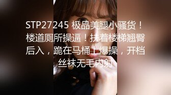 麻豆傳媒映畫 兔子先生 TZ-176 櫻花妹性愛實錄 地鐵偶遇短裙JK