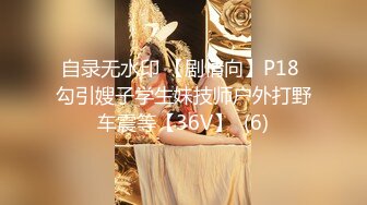 自录无水印 【剧情向】P18 勾引嫂子学生妹技师户外打野车震等【36V】  (6)