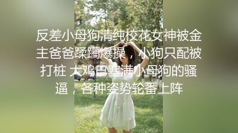 漂亮美女 趴着墙翘着屁屁 被后入操完逼 回房间又被奖励了一下菊花 这菊也爆的太猛了 视角超顶 内射