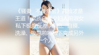 虎牙高颜值女主播『明宇小鱼儿』新定制私拍 带着护垫的骚气空姐制服热舞酥胸全露很是诱惑