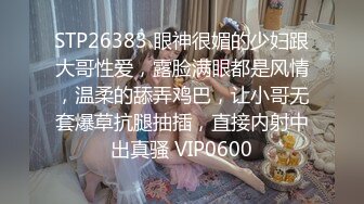 大肚子的小骚骚孕妇少妇