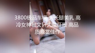 3800极品车模 大长腿美乳 高冷女神被文轩大屌征服 高品质观赏佳作