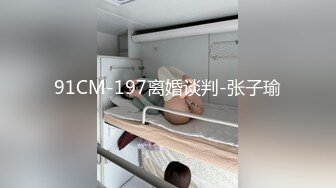 91CM-197离婚谈判-张子瑜