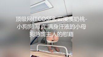 顶级网红COSER 云溪溪奶桃-小狗狗 写真 满身汗液的小母狗急需主人的慰藉