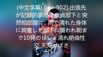 《絕版經典收藏》曾火爆全網早期探花91大神sweattt完整原版無水印專約極品白富美綠茶婊1~3部