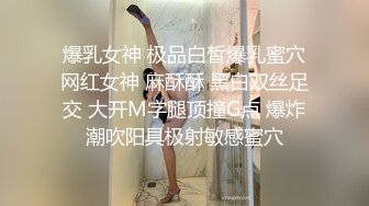 麻豆傳媒 MCY-0027空姐女友被強暴-蘇清歌