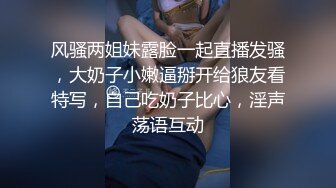 顶级性感小模身穿薄纱勾引男伴,火车便当侧抬腿站位爆肏