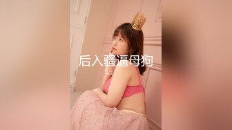 O站巨乳肥臀【奶咪Nami】2023年7月最新VIP订阅，视图自慰视图福利，翻白眼吐舌头自慰 乳夹抖动巨乳 炮机抽插自慰 (7)