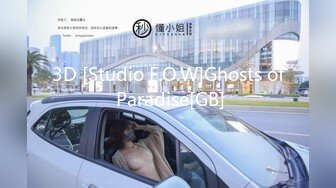 3D [Studio F.O.W]Ghosts of Paradise[GB]