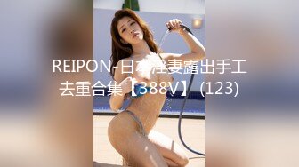 REIPON-日本淫妻露出手工去重合集【388V】 (123)