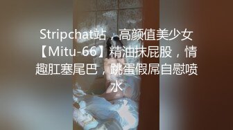 Stripchat站，高颜值美少女【Mitu-66】精油抹屁股，情趣肛塞尾巴，跳蛋假屌自慰喷水