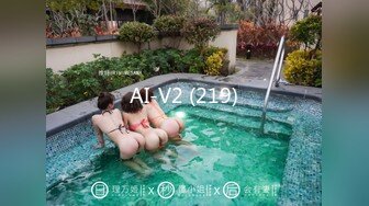 AI-V2 (219)