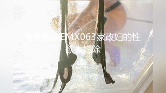 蜜桃影像EMX063家政妇的性欲大妇除