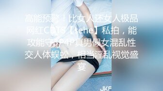 高能预警！比女人还女人极品网红CDTS【sehe】私拍，能攻能守3P4P真男假女混乱性交人体蜈蚣，相当淫乱视觉盛宴