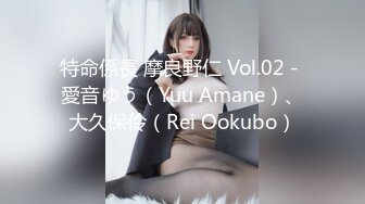 特命係長 摩良野仁 Vol.02 - 愛音ゆう（Yuu Amane）、大久保伶（Rei Ookubo）